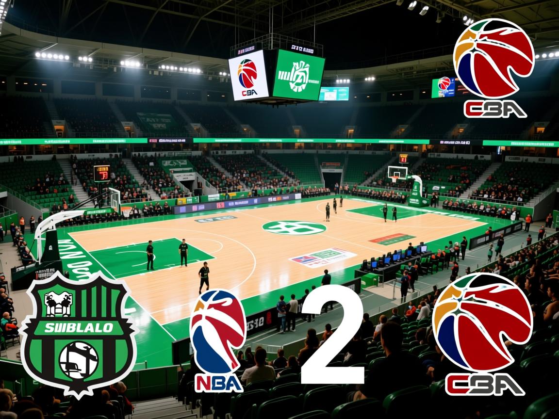 萨索洛主场击败对手，提升排名  第4张